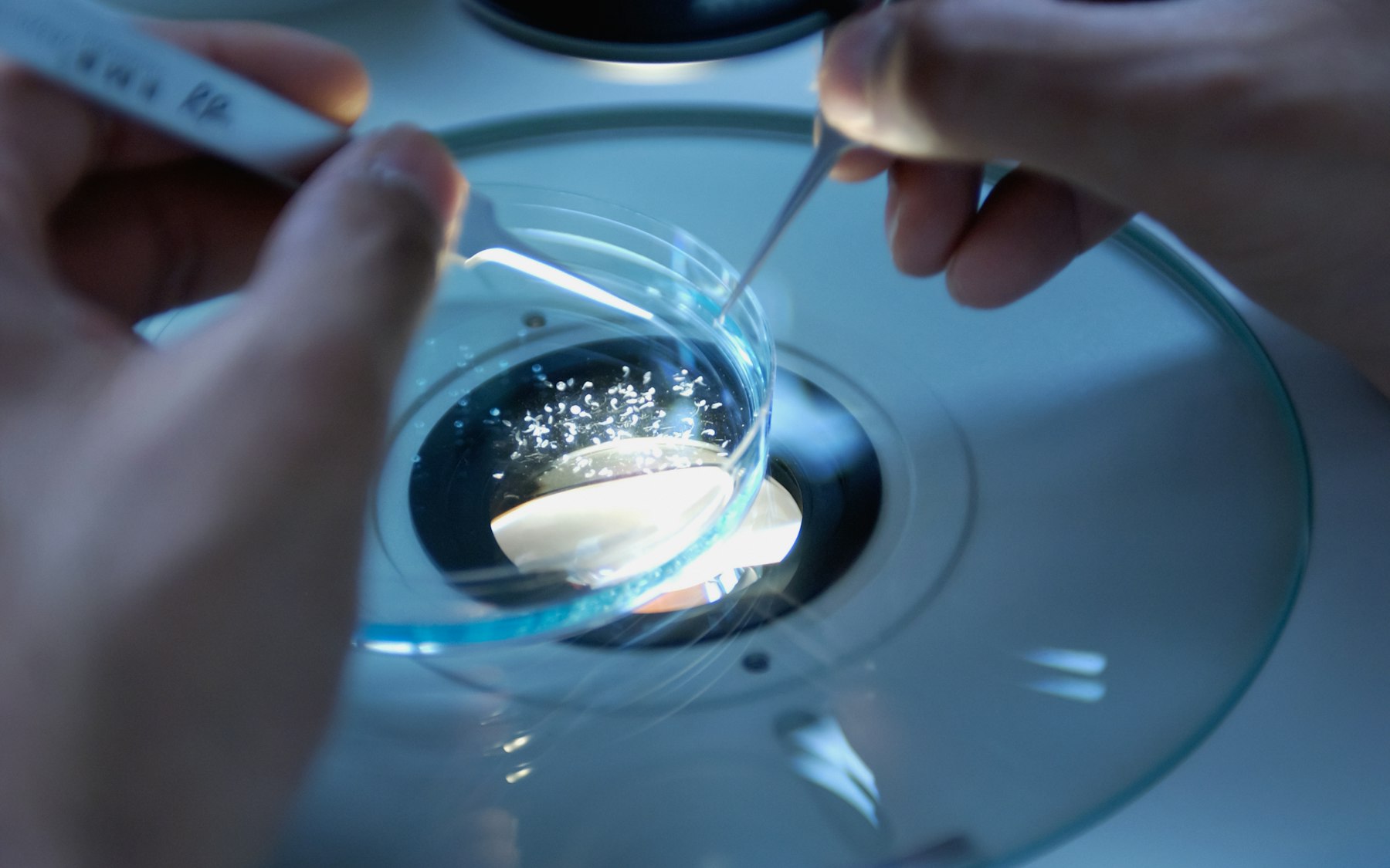 Pharmaceutical vials